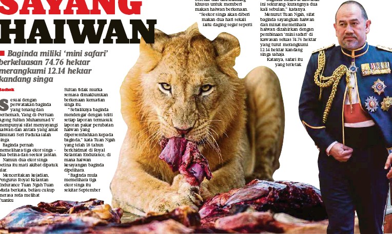 20 Fakta Menarik Sultan Muhammad V Yang Di Pertuan Agong Pertama Letak Jawatan Page 12 Of 20 Glam Lelaki